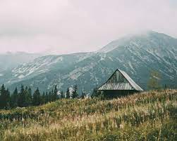 Add some creativity and stake claim to your property by branding it with these tips on naming your cabin. 133 Wonderfully Woodsy Cabin Names For Your Peaceful Hideout Or Vacation Rental