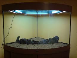 Unser Eck Aquarium Trigon 190 Aquarium Forum