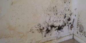 Si vos murs intérieurs sont humides à plusieurs endroits et pas seulement au niveau du sol, il s'agit d'une infiltration d'eau. Vous Avez Un Mur Humide Que Faire