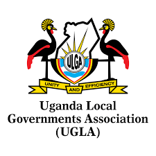 Local Governments