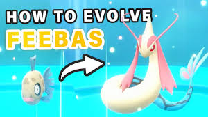 Pokemon Brilliant Diamond & Shining Pearl: How To Find And Evolve Feebas