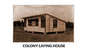 Well, one of the criteria was location of the house. Poultry Houses 197 Designs Structures Plans Systems Pdf Guide