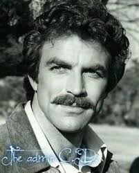 Marilyn Sims (mrlynsms)