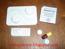 Maybe you would like to learn more about one of these? Senarai Ubat2 Kucing Y Daging Untuk Kucing Rm7 Sekilo Facebook
