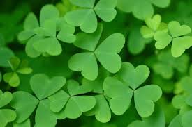 Patrick's day 2021 is wednesday, march 17! St Patrick S Day 2021 History Folklore Recipes And More The Old Farmer S Almanac