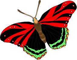 41+ butterfly png images for your graphic design, presentations, web design and other projects. Butterfly Red Butterfly Clipart Png
