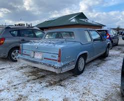 Image result for Heather Firemist 1985 GM