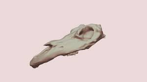We're a community of creatives sharing everything minecraft! Horse Skull More Like Long Horse Download Free 3d Model By Theslothsmile Theslothsmile 6c47f5d