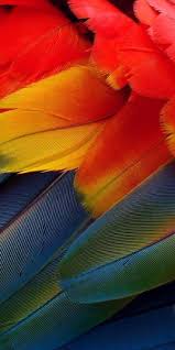 Mis Colores Renkler Doga Dogal
