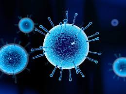 Image result for Virus