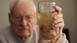 9 Things You May Not Know About Albert Einstein