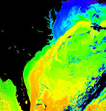 Gulf stream definition, a warm ocean current flowing n from the gulf of mexico, along the e coast of the u.s., to an area off the se coast of newfoundland, where it becomes the western terminus of the. How Will Climate Change Impact The Gulf Stream You Asked