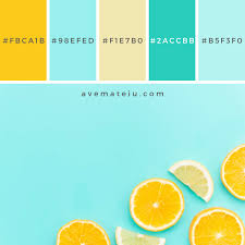 This spring fruit color palette, consists of 4 main colors. Citrus Fruits Slices On Table Color Palette 228 Ave Mateiu