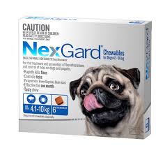 nexgard chew small dog 4 1kg 10kg 6 pack