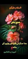 Image result for tbn:fWFGfe7mxNEQKM::www.feamman.com/wallpapers/Img-82755.jpg