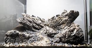 For these product listing you are buying pre selected stone with an estimate of stone size, stone shape, and. Aquascaping Rocks Planted Aquarium Hardscape Essentials Part 2 Aquascaping Love