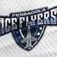 Knoxville Ice Bears at Pensacola Ice Flyers