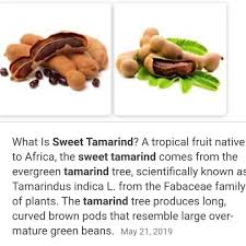 Tamarind has been used by several ancient civilizations. Kj S Husbandry Sweet Tamarind Plants Available Only 35 Facebook