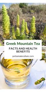 Pin On Herbal Teas And Remedies