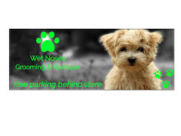 Maybe you would like to learn more about one of these? Dog And Cat Groomer Downtown Sarasota Organic Pet Supply Store Toys Wet Noses Sarasota