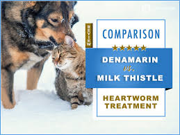 Denamarin Vs Milk Thistle 2019 Comparison And Key Differences