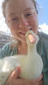 hello there,today i would like to show a hand carved white goose!!