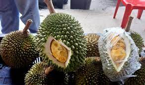 Durian sellers told tnp that the durian season might start as early as next month. Malaysian Festival Celebrates Durian Fruit Arab News