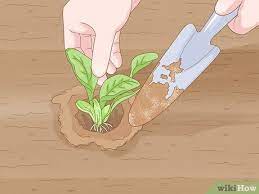 A seed starting tray from a gardening store is a convenient option, but you can use any small container with drainage holes. How To Start A Garden 13 Steps With Pictures Wikihow