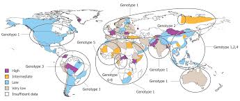 Hepatitis delta is a disease with a significant impact on global health, which may affect up to 20 million people worldwide. Chronic Hepatitis Delta A State Of The Art Review And New Therapies