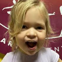 DIRECTORS' SNAPSHOT: A YEAR IN REVIEW