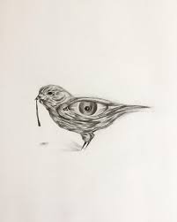 Softer varieties are generally more desirable for drawing and are usually more expensive as well. Bird S Eye View Drawing