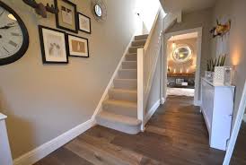 Light Walls Match Carpet But Carpet Picks Up Dark Wood Floor In Flecks Of Colour Dark Wood Floors House Design Wood Floors