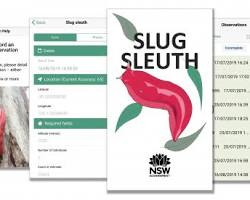 Imagem de Aplicativo Slug Sleuth