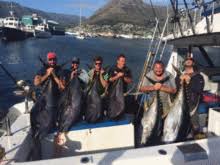 Download and use 10,000+ fish market stock photos for free. Hout Bay Wikiwand
