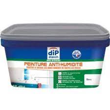 Peinture anti humidité leroy merlin. Peinture Antihumidite Dip Blanc 2 5 L Leroy Merlin Peinture Anti Humidite Peinture Anti Moisissure Anti Humidite