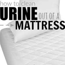 Ow To Get Pee Out Of Mattress How To Get Urine Out Of Mattress In 2020 Cleaning Hacks House Cleaning Tips Clean House