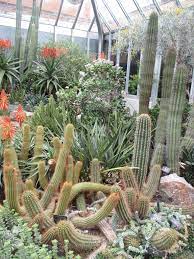 Chicago botanic garden bölgesinde bulundunuz mu? Chicago Botanic Garden Rotary Botanical Gardens