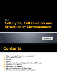 Maybe you would like to learn more about one of these? Cell Cycle Cell Division And Structure Of Chromosomes Pdf Mitosis Chromosome