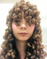 Photos by Ding Dong Wing Wong (@dingdongwingwong69) · November 13, 2022