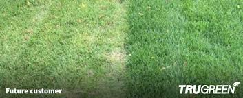 Lawn connections is your trusted source for landscape. Affordable Lawn Care Maintenance Treatment Services Trugreen