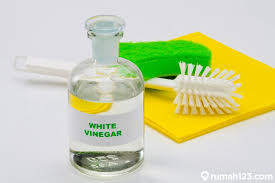 Cuka putih memiliki bau yang menyengat, sehingga dapat mengganggu indra penciuman tikus. 10 Kegunaan Cuka Putih Untuk Membersihkan Rumah Bukan Cuma Buat Masak Rumah123 Com