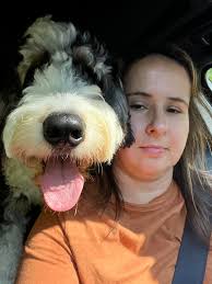 Dog seatbelt setup for unbuckling dogs