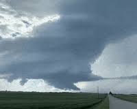 See more ideas about tornado meme, tornado, oklahoma tornado. Tornado Warning Gifs Get The Best Gif On Giphy
