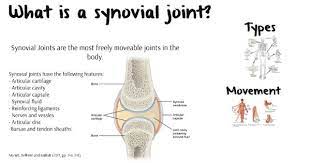 Pin On Nursing Student