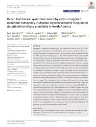 Music carta era 40 2019 100% free! Pdf Beech Leaf Disease Symptoms Caused By Newly Recognized Nematode Subspecies Litylenchus Crenatae Mccannii Anguinata Described From Fagus Grandifolia In North America