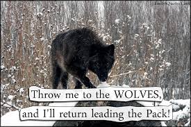Explore our collection of motivational and famous quotes by authors you know and love. Throw Me To The Wolves And I Ll Return Leading The Pack Popular Inspirational Quotes At Emilysquotes