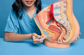 Image result for Bladder Antispasmodic