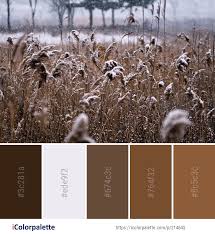 2024 Winter Color Palette Ideas In 2022 Icolorpalette