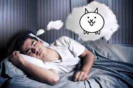 have you ever dreamt about the battle cats or have them appear in your  dreams? [fluff] : rbattlecats