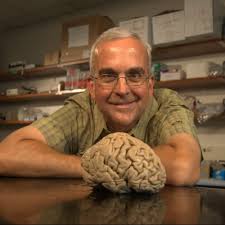 prof. Len White, Author at Learn Medical Neuroscience